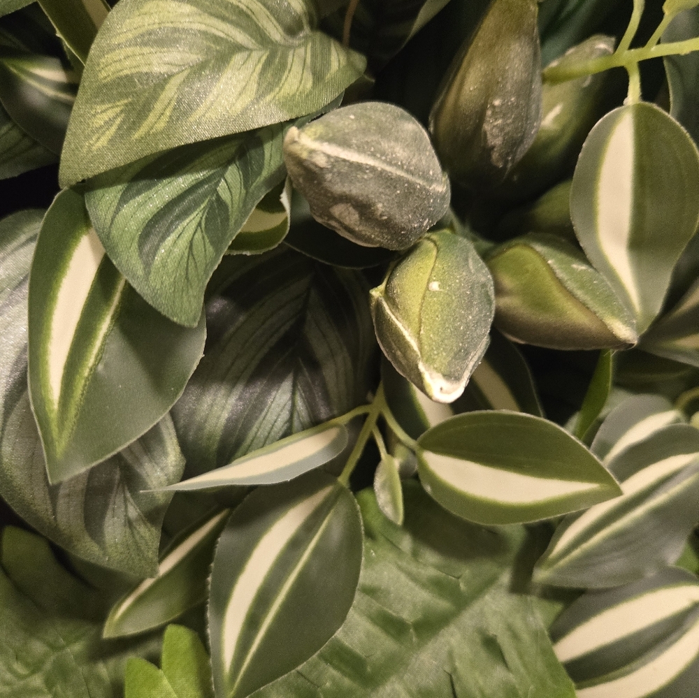 Lush White Orchid Greenery Grapevine Wreath - Picture 3 of 5